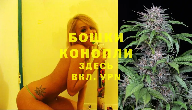 купить наркотик  Лесозаводск  Каннабис THC 21% 